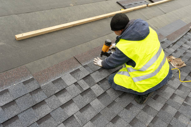 Best Local Roofing Companies  in Monee, IL
