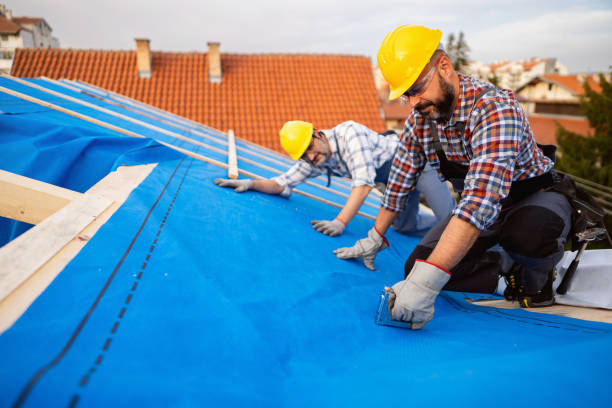 Best Roof Waterproofing Services  in Monee, IL